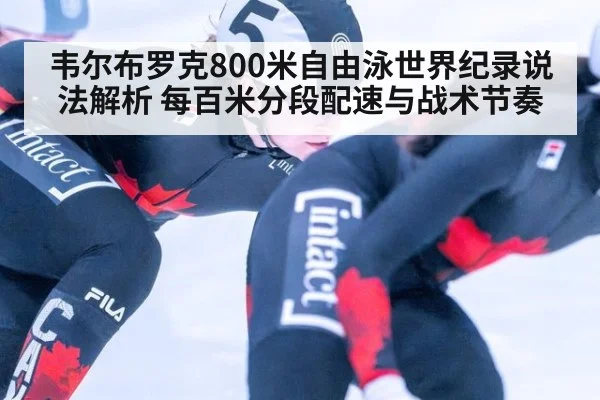 韦尔布罗克800米自由泳世界纪录说法解析 每百米分段配速与战术节奏